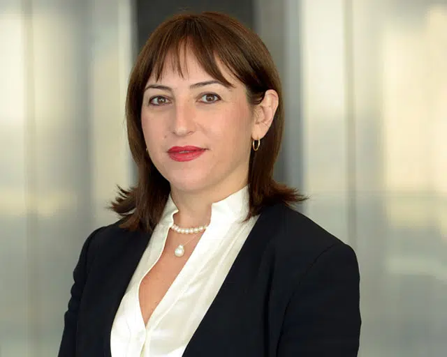 İdil Hamzadi